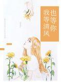 我等清风也等你