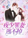 夜少罪妻逃不掉