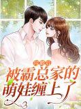 闪婚后被霸总家的萌娃缠上了