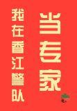 我在香江警队当专家