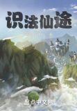 识法仙途