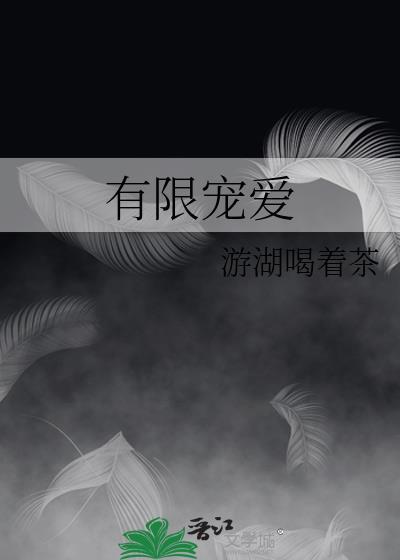 有限宠爱