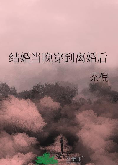 结婚当晚穿到离婚后