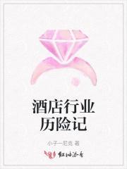酒店行业历险记