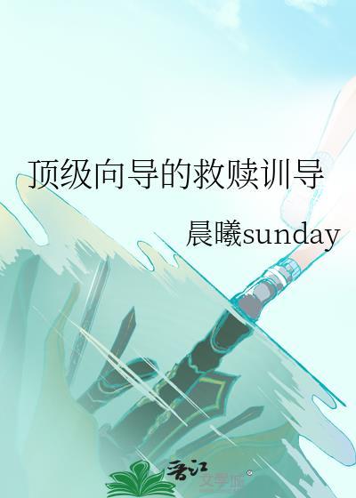 顶级向导的救赎训导